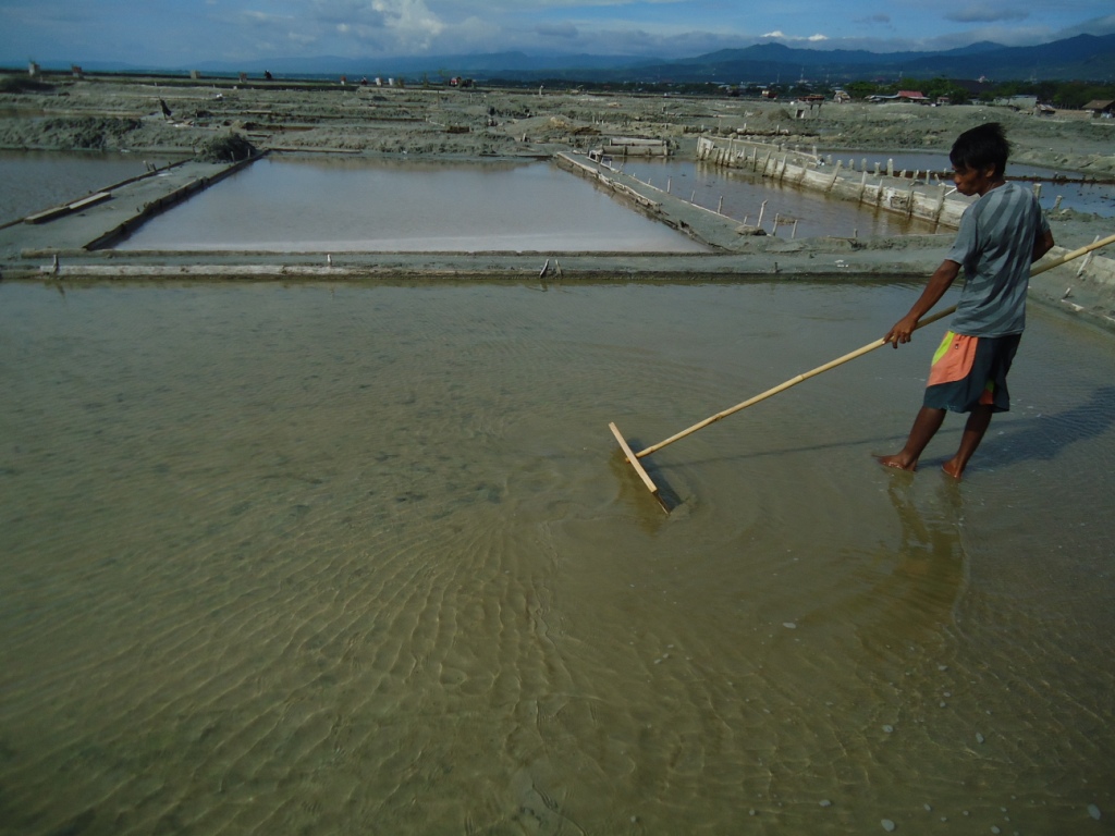 Badrung, seorang petani garam di Teluk Palu, Sulawesi Tengah sedang menggarap lahannya. Petani garam khawatir reklamasi di Teluk Palu mengganggu usaha mereka. Foto : Themmy Doaly