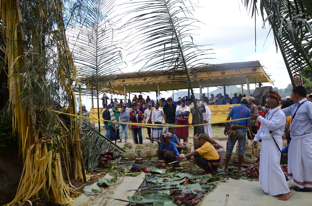 Beragam ritual adat masih terus dilakukan di Kabupaten Enrekang hingga saat ini, seperti ritual masuk tongkonan atau ma’rara di Komunitas Tangsa, yang wilayahynya berbatasan dengan Tana Toraja. Uniknya dalam ritual ini bertemu tiga agama, yaitu Islam, Kristen dan Allu’ (Hindu). Foto: Wahyu Chandra