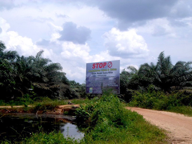 Sosialisasi hukuman para pembakar lahan justru membuat warga takut memadamkan api. Foto: Taufik Wijaya
