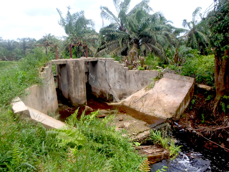 Sekat kanal yang dibangun perusahaan sawit di wilayah Desa Gambut Jaya, Kecamatan Tanjung Gelam, Kabupaten Muaro Jambi, Jambi, yang tidak berfungsi lagi. Foto Taufik Wijaya