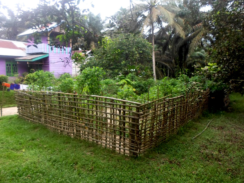 Kebun sayuran milik warga Desa Tanjung Benanak,Kecamatan Merlung, Kabupaten Tanjung Jabung Barat, Jambi. Biaya hidup menjadi tinggi saat pangan harus dibeli. Foto: Taufik Wijaya