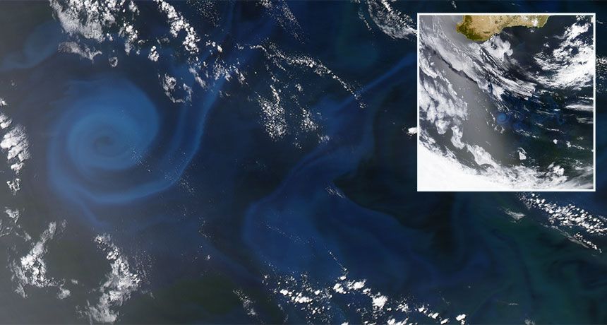 Permukaan air laut yang berwarna karena oksigen - Sebuah penelitian menyebutkan adanya penrunan produksi fitoplankton pada di Samudera Hindia barat, penelitian baru menunjukkan. Penelitian itu melacak perubahan warna air di laut disebabkan oleh ada tidaknya fitoplankton, seperti yang terlihat pada warna yang berputar-putar karena fitoplankton pada 2013. Sumber : Sciencenews.org