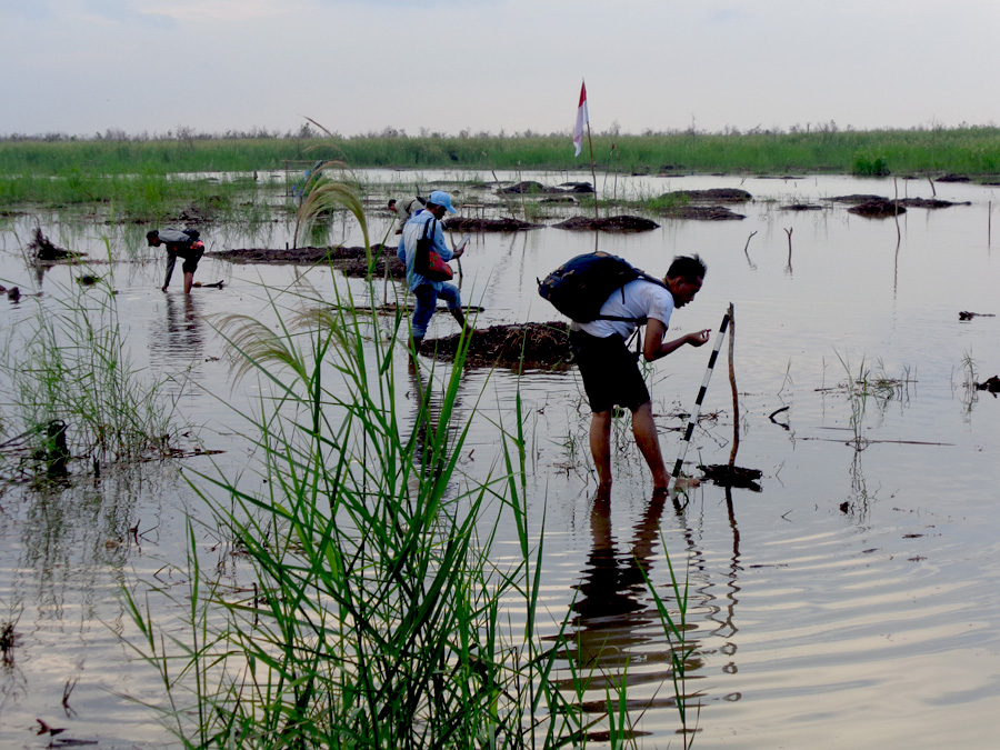 Tim Balai Arkeologi Palembang survei di Situs Kanal 12 Ulak Kedondong. Foto: Nurhadi Rangkuti