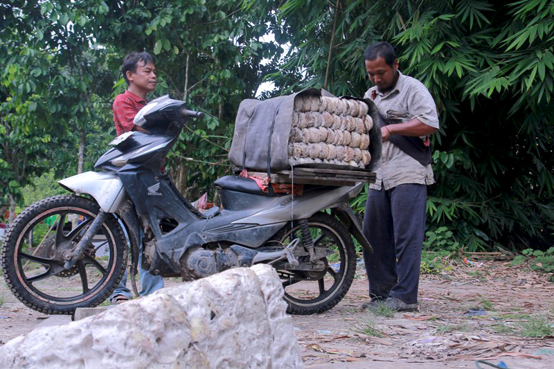 Harga jual getah karet yang terus menurun, mampukah mereka menahan diri tidak merambah atau membakar hutan? Foto: Berlian Pratama