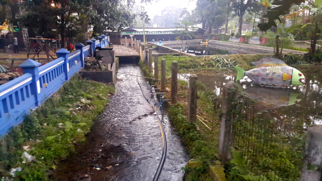  Sungai di sumber mata air Muncul yang mengalir ke irigasi para petani. Foto: Tommy Apriando 