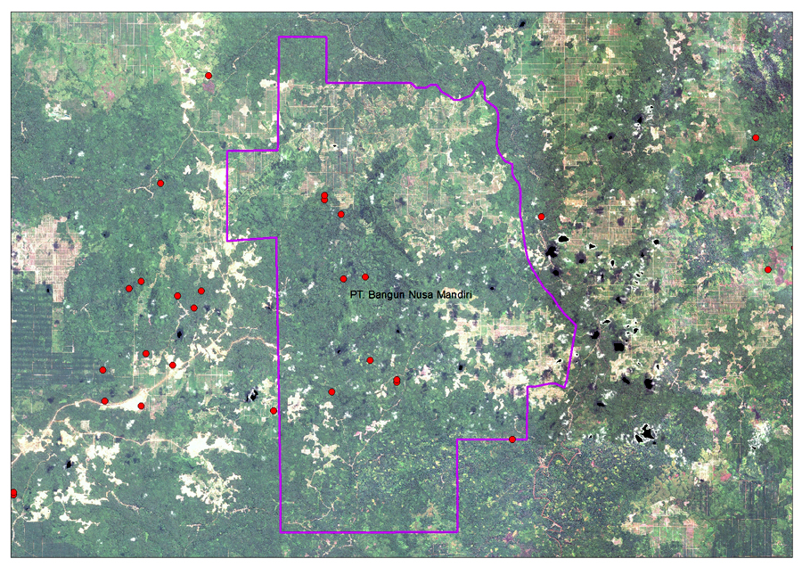 Sejumlah hotspot yang ada di PT. Bangun Mandiri, anak perusahaan PT. Smart Tbk berdasarkan Citra Satelit Modis. Sumber peta: Swandiri Institute