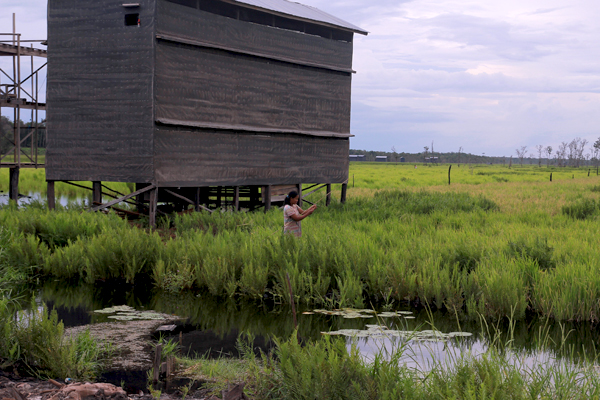 Seorang ibu tengah mancing di lahan gambut dengan latar  rumah sarang walet. Foto: Berlian Pratama