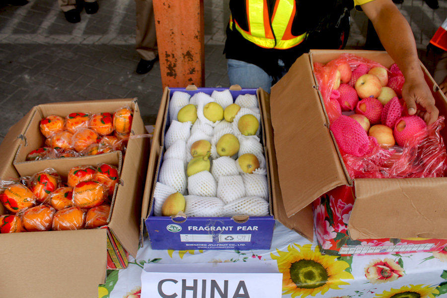 Komoditas buah asal Tiongkok, jeruk, pir, dan apel,  yang diamankan Balai  Besar Karantina Pertanian Surabaya di Terminal Petikemas Surabaya, Tanjung  Perak. Foto: Petrus Riski