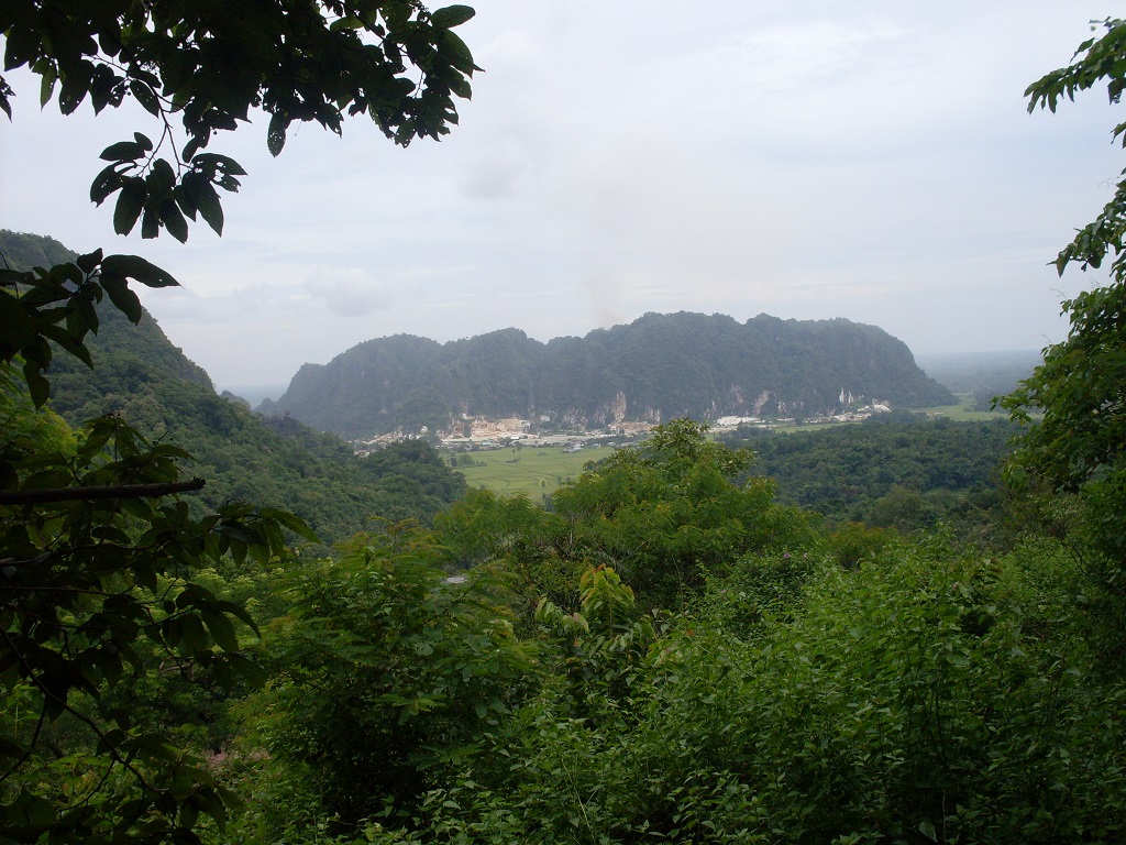 Di kawasan Taman Nasional Bantimurung-Bulusaraung yang merupakan ekosistem kars, hidup beragam satwa endemik Sulawesi, seperti monyet Sulawesi, Maura macaca. Kini ekosistem ini terancam dengan bermunculannya industri tambang, mulai dari semen, batu gamping dan marmer. Foto : Wahyu Chandra