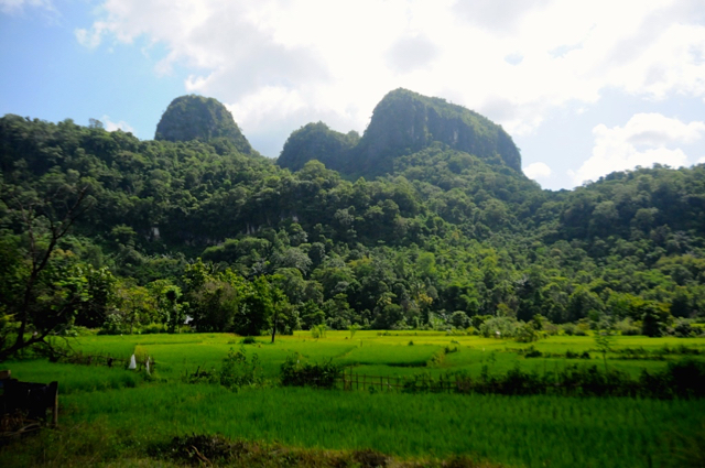 Kaki bukit yang diperkirakan menjadi pondok Wallace. foto: Eko Rusdianto