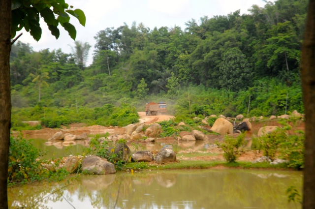 Lahan dikeruk oleh PT Semen Bosowa, sekitar 400 meter dari pondok Wallace . Foto: Eko Rusdianto