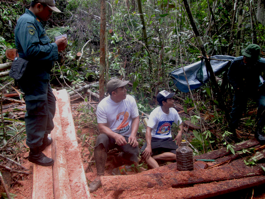 Dua tersangka yang diamankan Brigade Bekantan SPORC Kalbar di TWA Gunung Melintang, Kalimantan Barat. Foto: Dok. BKSDA Kalbar