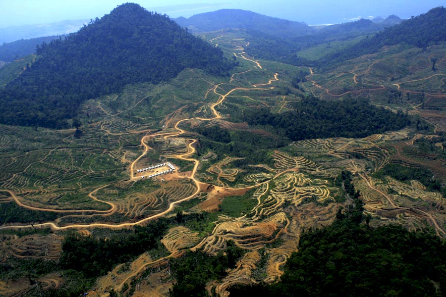 Hutan yang rusak di Kabupaten Aceh Jaya, untuk perkebunan membuat habitat gajah sumatera semakin berkurang. Foto: Junaidi Hanafiah