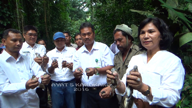 Sekitar 100 burung berbagai jenis dilepaskan oleh BBKSDA Sumut di TWA Sibolangit. Burung-burung ini hasil sitaan petugas. Foto: Ayat S Karokaro