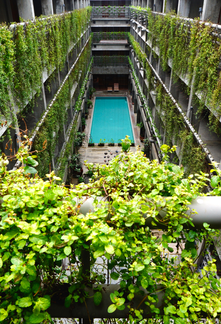 Memanfaatkan berbagai sudut gedung sebagai media tanam. Ini salah satu hotel di Yogyakarta. Foto: Arumingtyas