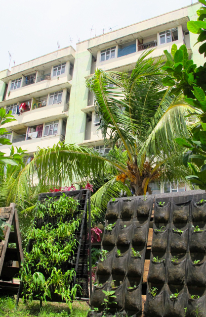 Rusun Marunda dengan beragam sayur mayur. Foto: Lusia Arumingtyas