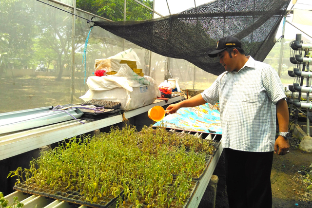 Menyemai bibit. Foto: Lusia Arumingtyas