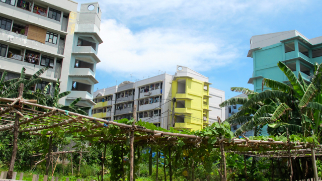 Memanfaatkan lahan tersisa di Rusun Marunda, Jakarta, untk bercocok tanam. Foto: Lusia Arumingtyas