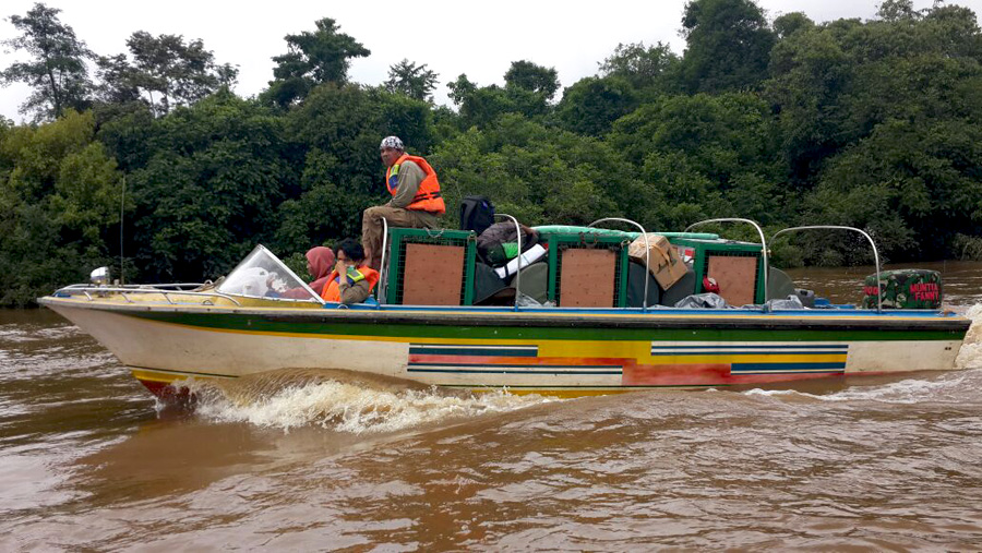 Tim dan delapan orangutan menuju Batu Ampar. Foto: BOSF
