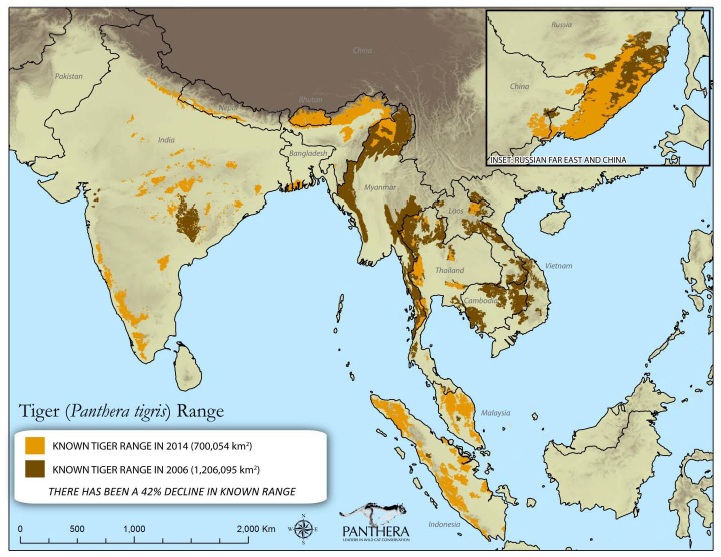 Penurunan range harimau di alam liar sebesar 42 persen antara 2006 dan 2014. Sumber : IUCN 2015