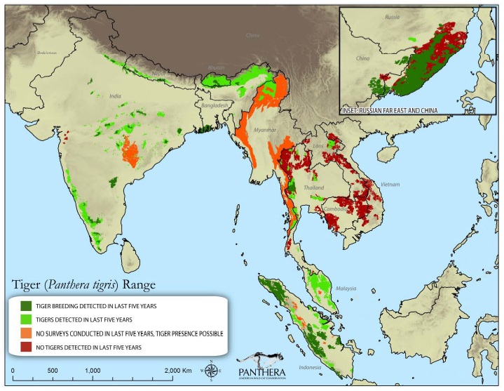 Sebaran populasi harimau di dunia pada 2014, berdasarkan catatan selama lima tahun yaitu 2009 - 2014. Sumber : IUCN 2015