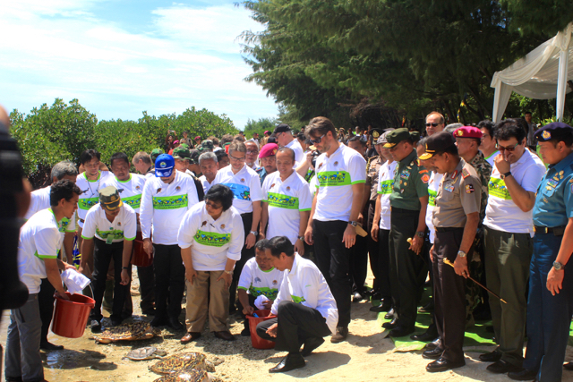 Presiden Jokowi tengah bersiap-siap melepasliar penyu ke laut di Pulau Karya, Kepulauan Seribu. Foto: Lusia Arumingytas