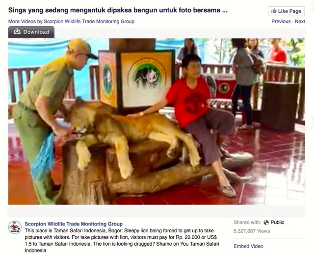 Foto: screenshot dari akun Facebook