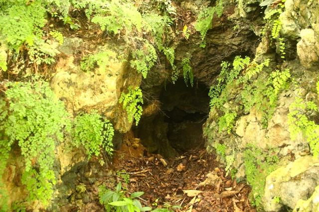 Salah satu goa yang belum terdata dalam dokumen Amdal PT. Semen Gombong. Foto: Tommy Apriando