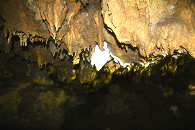 Ornamen indah di dalam goa-goa yang terancam hilang akibat pertambangan semen. Foto: Tommy Apriando