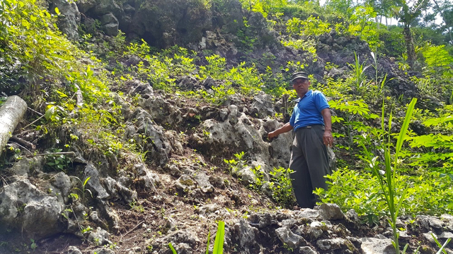 Perbukitan karst Gombong menyimpan air dari celah-celah lubang karst. Foto: Tommy Apriando