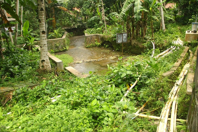 Kali sirah digunakan warga Desa Sikayu dan desa lain untuk beragam keperluan. Foto: Tommy Apriando