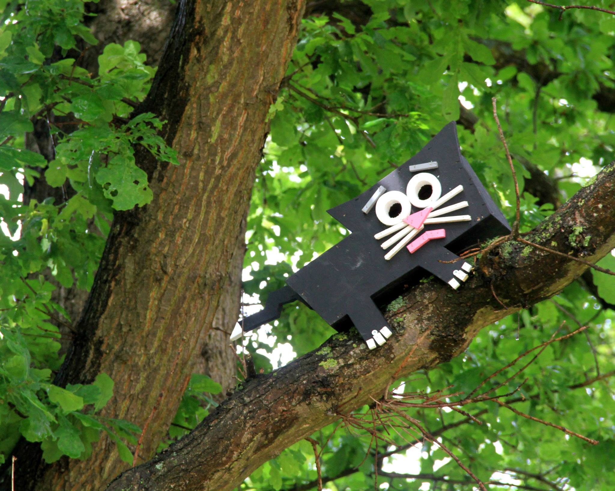 Rumah burung berbentuk kucing yang dipasang di pohon di sebuah taman kota. Foto : thomasdambo.com