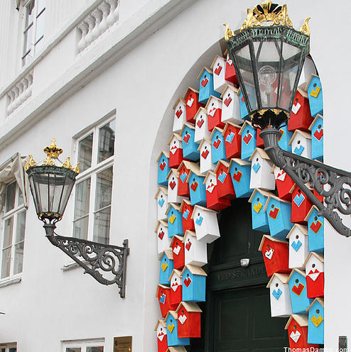 Rumah burung dengan warna cerah yang dipasang di pintu sebuah rumah. Foto : thomasdambo.com