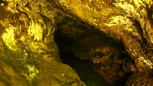 Air dari sumber air Jeblosan digunakan ratusan kepala keluarga. Foto: Tommy Apriando