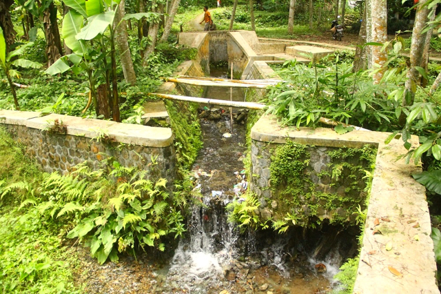 Airmengalir cukup deras dari Kali Sirah untuk perikanan, pertanian dan kebutuhan sehari-hari warga. Foto: Tommy Apriando