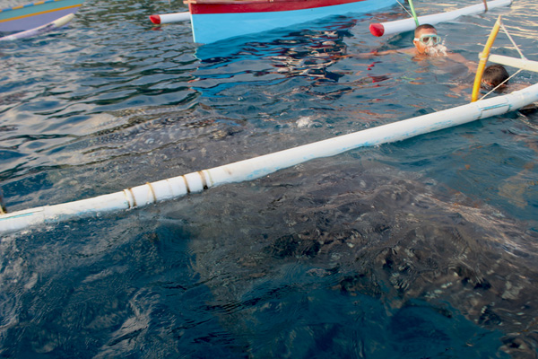 Bayang tubuh hiu paus yang terlihat di Desa Botu Barani, Kecamatan Bone Pesisir, Kabupaten Bone Bolango, Gorontalo. Foto: Christopel Paino