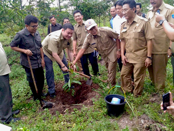 Kepala BRG Nazir Foead melakukan penanaman pohon di kebun restorasi gambut flasma nutfah Sepucuk Kayuagung, OKI, Sumsel. Foto: Humas Pemkab OKI