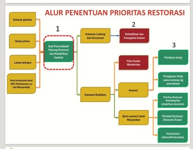 Sumber: BRG