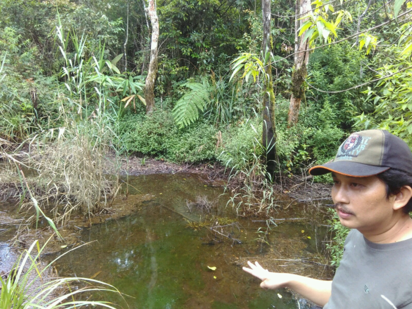 Salah satu pemerhati satwa menujukkan lokasi habitat beberapa reptil di kawasan Cagar Alam Darajat, Garut, Jawa Barat. Tingginya degradasi dan pembukaan lahan membuat beberapa spesies berkumpul di satu tempat. Hal tersebut telah menyebabkan terputusnya rantai makanan. Foto : Donny Iqbal