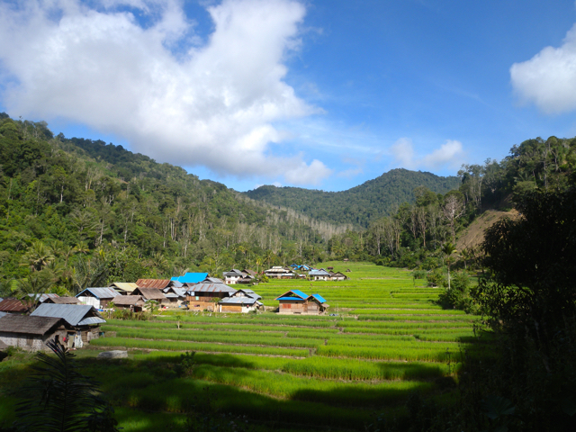 Lansekap Desa Pelempea, Pipikoro. Foto: Andika Dhika