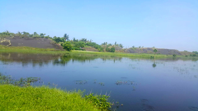 Danau lubang bekas tambang pasir di Desa Dampar, Lumajang. Foto: Tommy Apriando