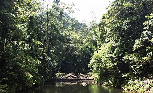 Bentang alam Gunung Sahendaruman Kepulauan Sangihe, Sulawesi Utara. Di gunung ini banyak terdapat burung langka endemik. Foto: Agustinus Wijayanto