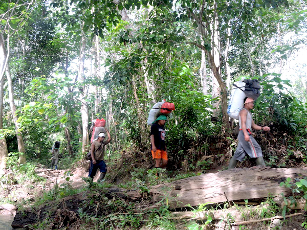 Para penambang rakyat menjadi desa mekarti jaya sebagai pintu masuk menuju lokasi mencari emas. Foto: Christopel Paino