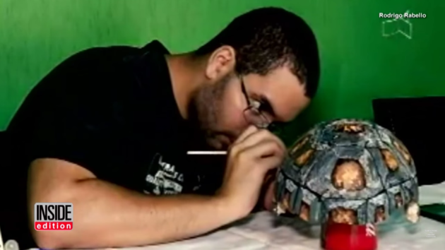 Karapas untuk seeekor kura kura bernama Freddy sedang diwarnai menyerupai warna aslinya. Foto : inside edition / huffingtonpost