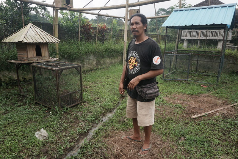 Kandang burung hanti di Dusun Pagi, Tabanan, Bali. Petani Dusun Pagi menggunakan burung hantu sebagai predator alami untuk mengatasi hama tikus di sawahnya. Foto : Luh De Suriyani