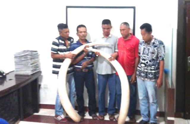 Para tersangka bersama gading gajah yang hendak mereka jual. Foto: Balak Gakkum LHK Sumatera