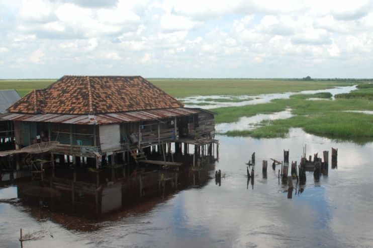 Rumah panggung yang tersisa di rawa gambut Cengal, Kabupaten OKI, Sumsel. Foto Taufik Wijaya