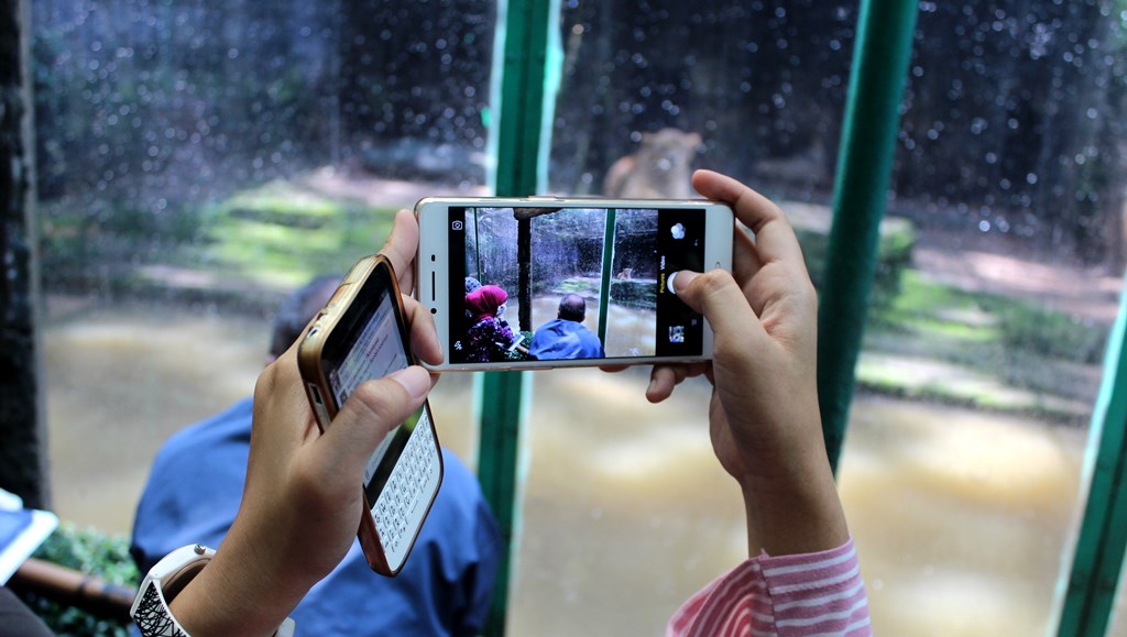 Tim dokter hewan memotret singa salah satu koleksi Kebun Binatang Bandung, Jumat (13/05/2016). Berdasarkan temuan di lapangan ada beberapa satwa yang kondisinya tidak sehat. Foto : Donny Iqbal