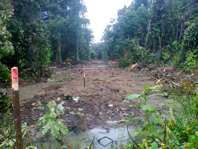 Lahan adat di Nabire yang dibuka perusahaan untuk kebun sawit. Foto: Yayasan Pusaka