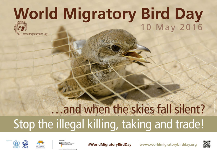 wmbd_poster_2016_english
